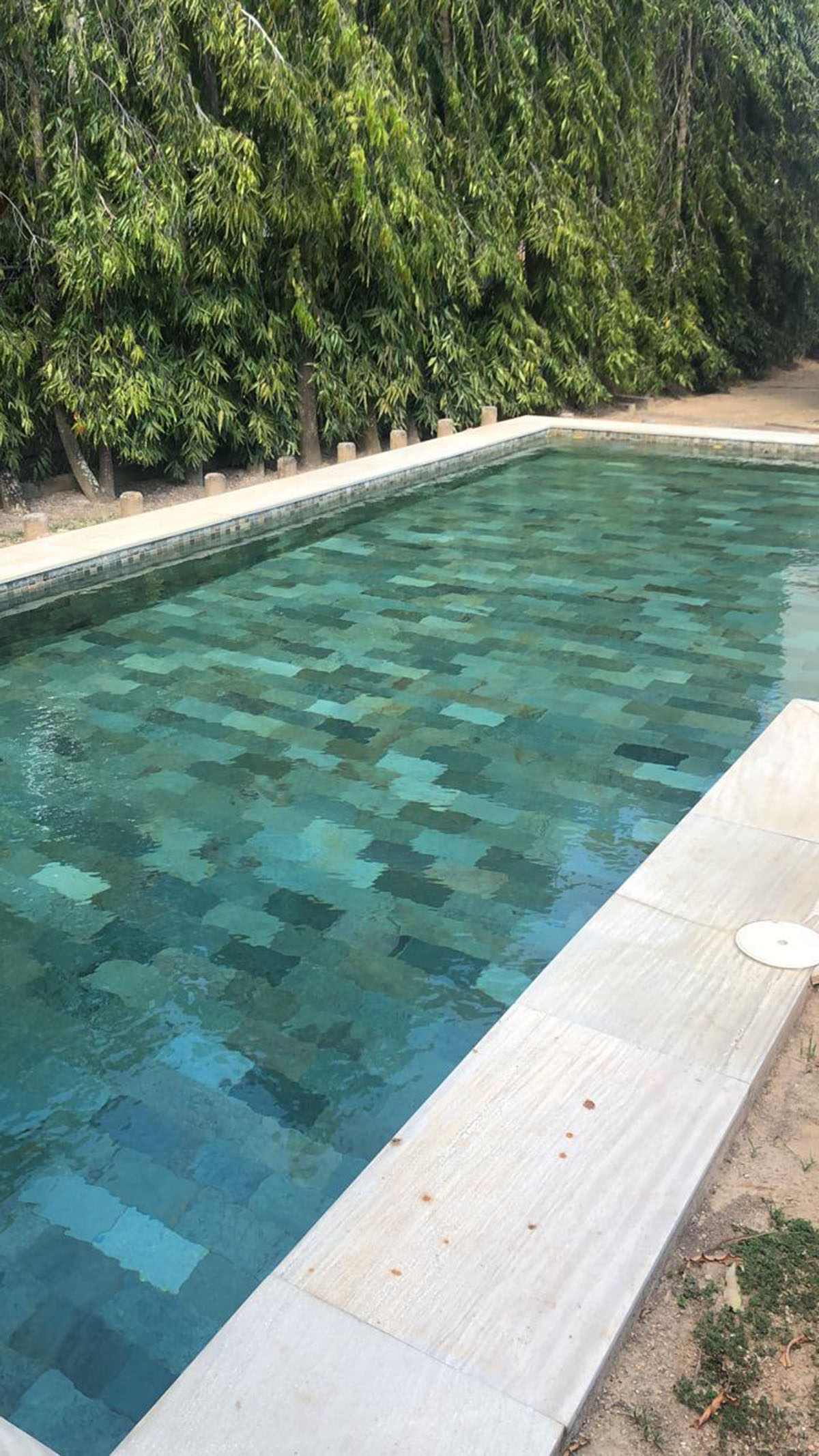 Shotcrete – Roof Systems